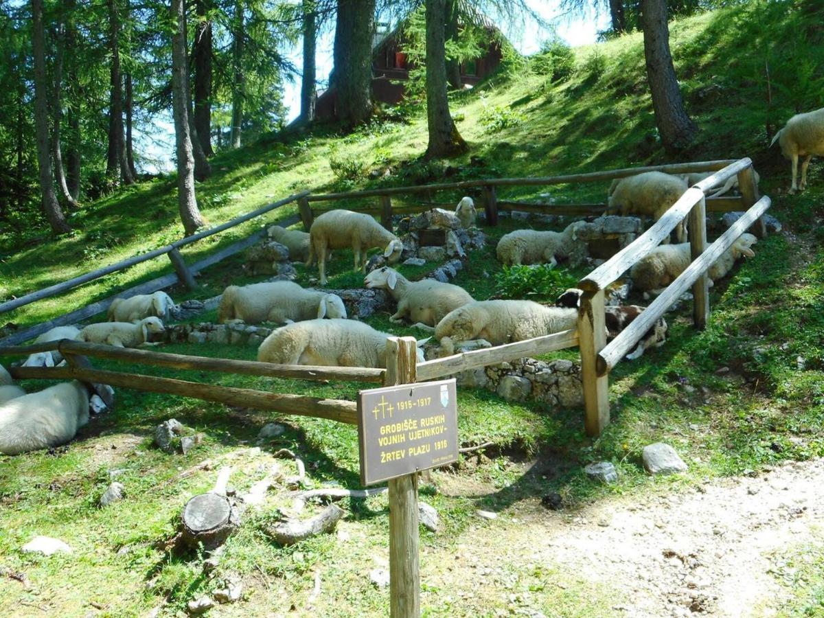 ホテル Erjavceva Mountain Hut At Vrsic Pass クランスカゴーラ エクステリア 写真