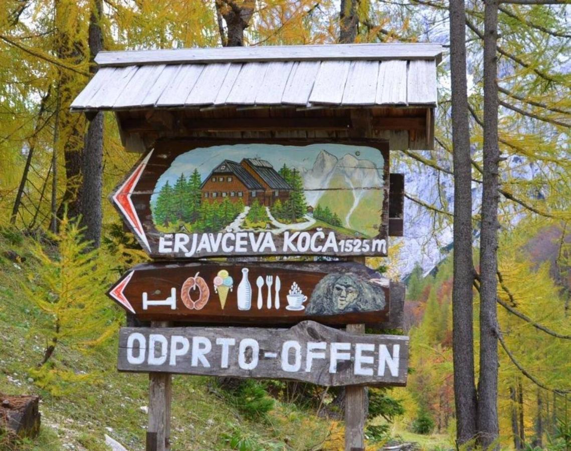 ホテル Erjavceva Mountain Hut At Vrsic Pass クランスカゴーラ エクステリア 写真